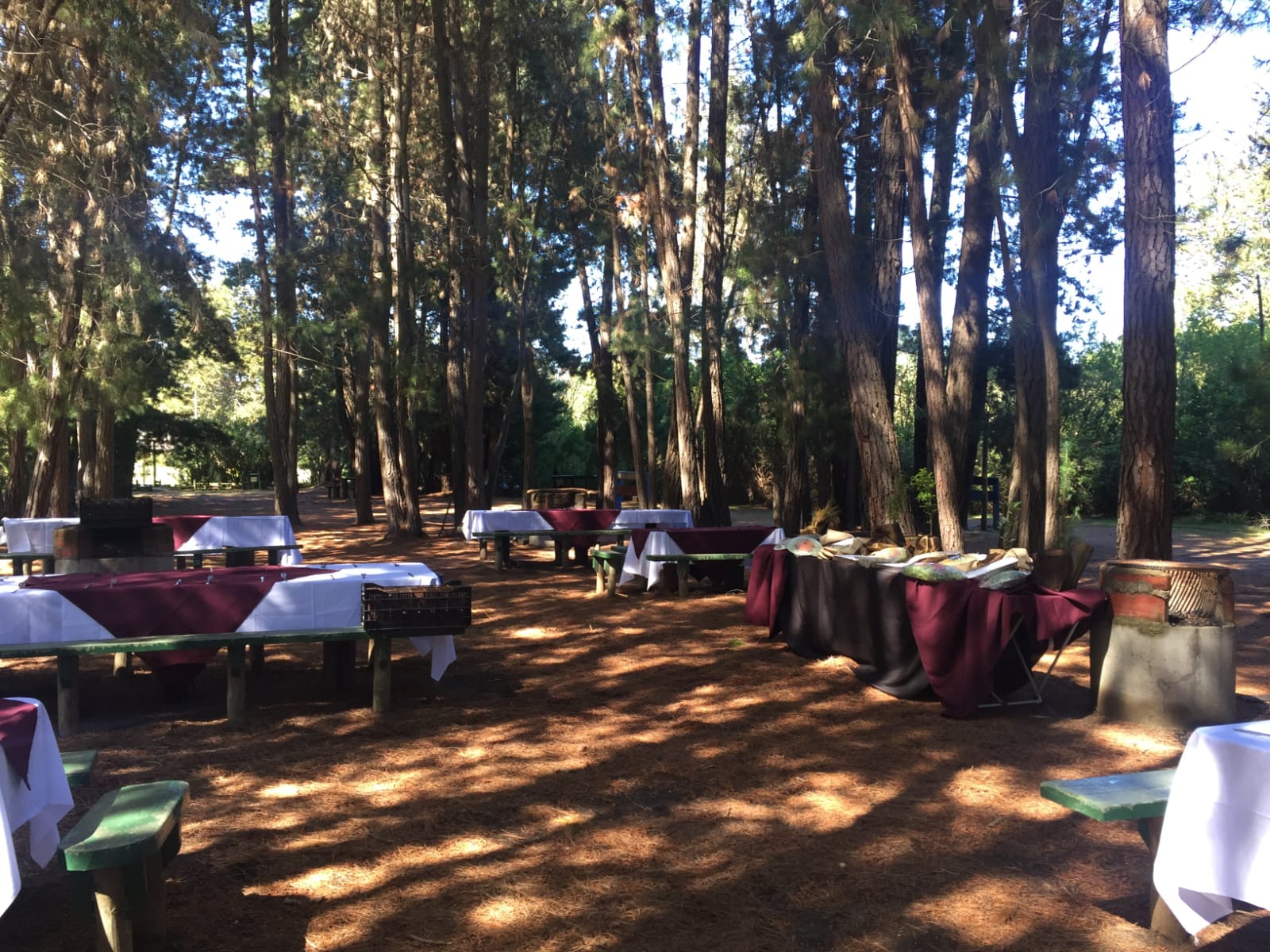 Montaje Evento Exterior Bosque